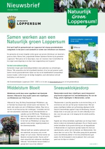 Nieuwsbrief Groen Loppersum voorjaar 2016-page-001
